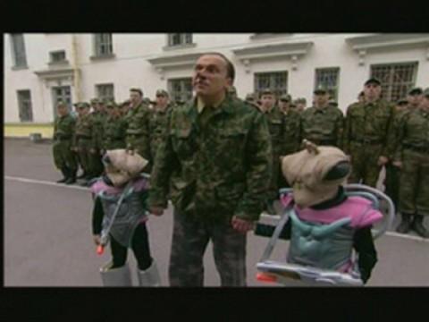 Осторожно, Задов! Звездный воин