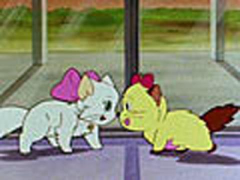 Un amour de chat