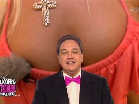 Katzen-Berger-Glocken-Show
