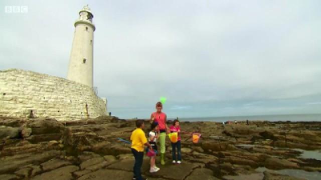 Rockpool Pies and Rockpooling