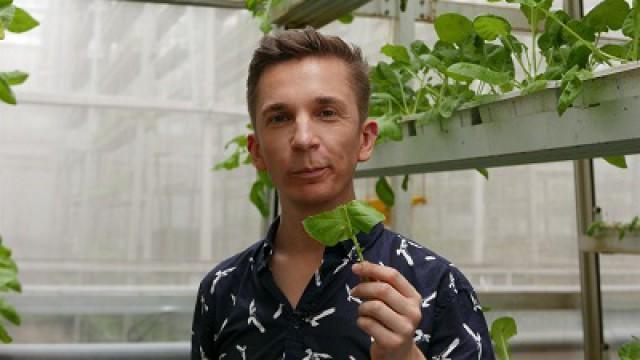 Tomaten im Weltall
