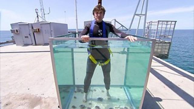 Episode 10