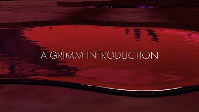 Volume 4: A Grimm Introduction