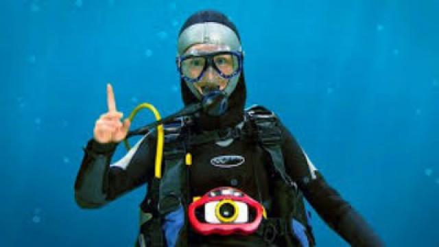 Deep Sea Diver