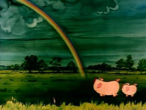 Der Regenbogen