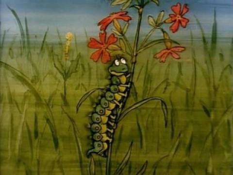Der Schmetterling