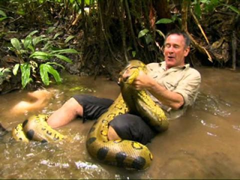 Lands Of The Anaconda