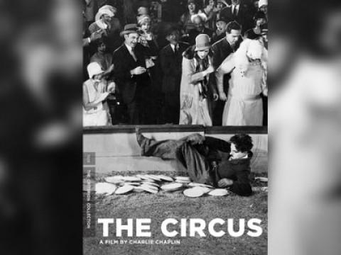 The Circus
