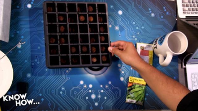 Grow How: Green Geek (1)
