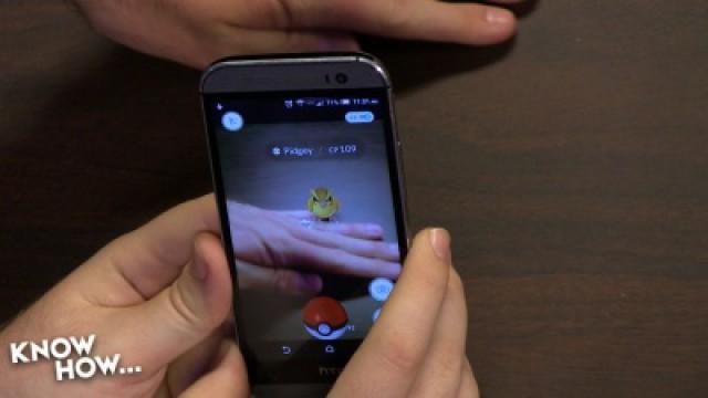 Pokemon How, and Germination