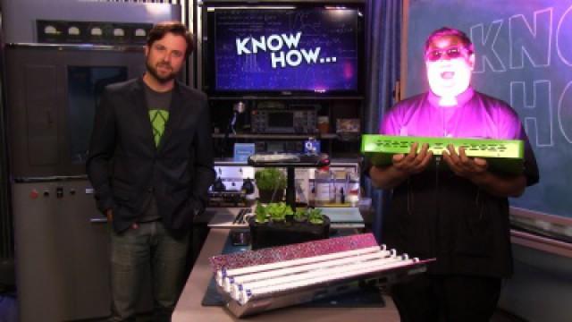 Grow How: Lights for Growing