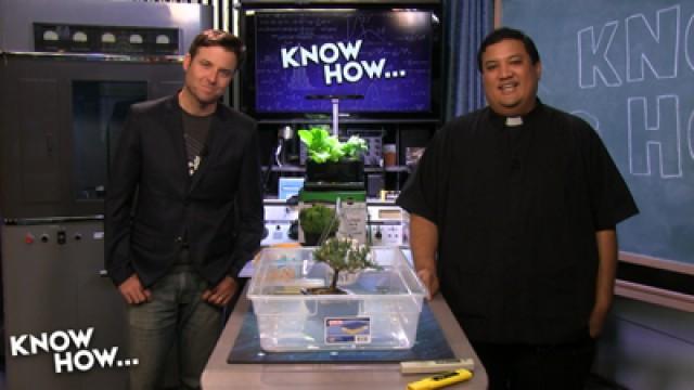 Grow How: Grow Tent