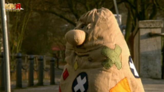 Der Weihnachtsstern