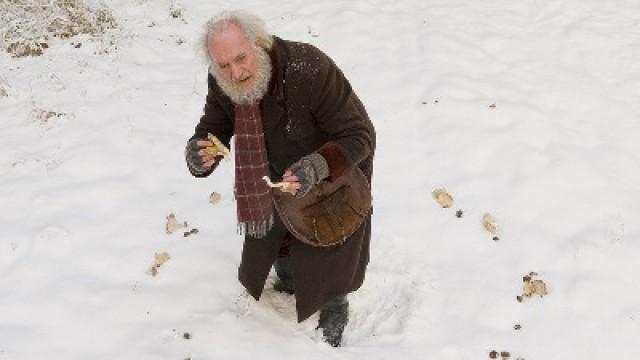 Schweinsohren gesucht