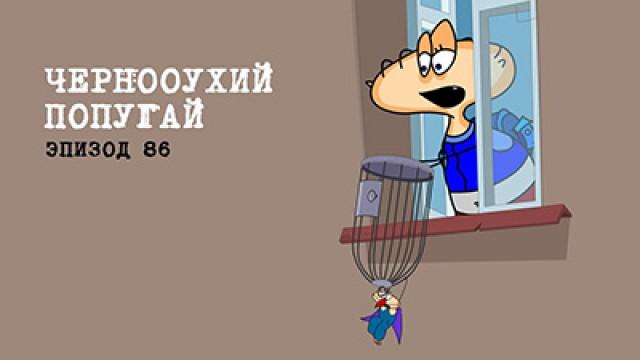 Регтайм 3. Чернооухий попугай