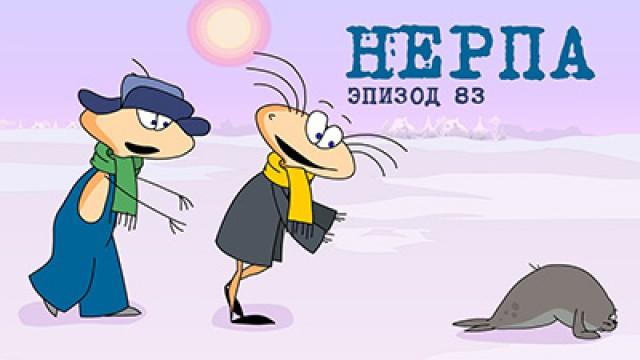 Нерпа