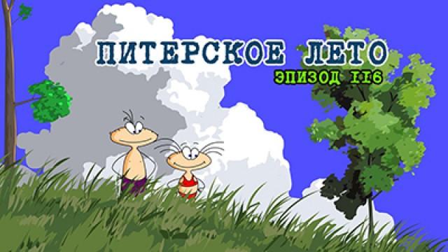 Питерское лето