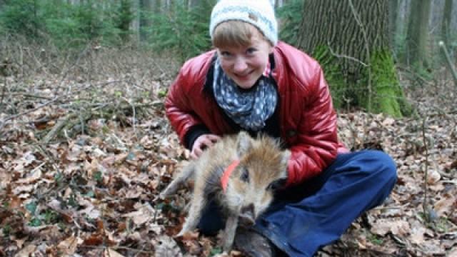 Ein Wildschwein zum Knuddeln