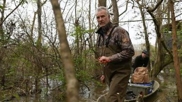 Bigfoot of the Bayou