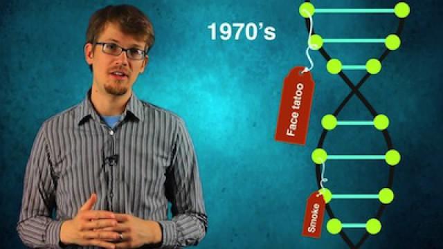 Epigenetics
