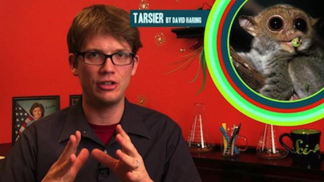 Wheezy Waiter on Movie Science, Mutant Flu Facts, and 2 Sounds You've Never Heard!