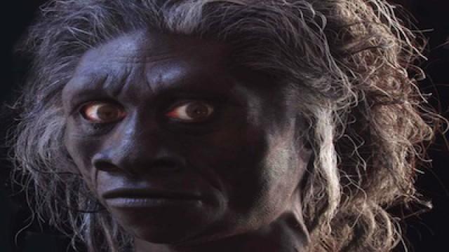 Concerning Hobbits