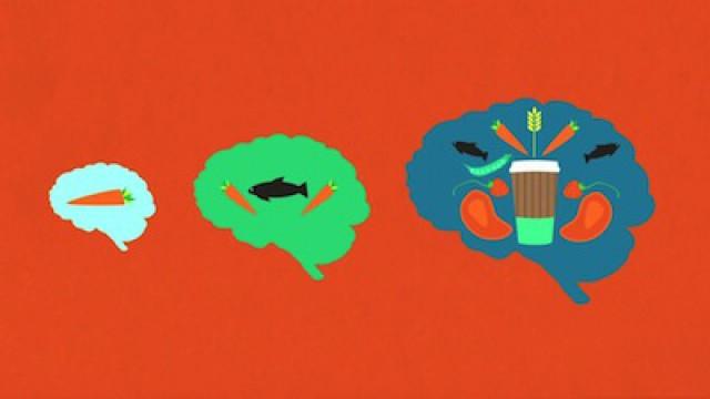 Why Our Brains Love Junk Food