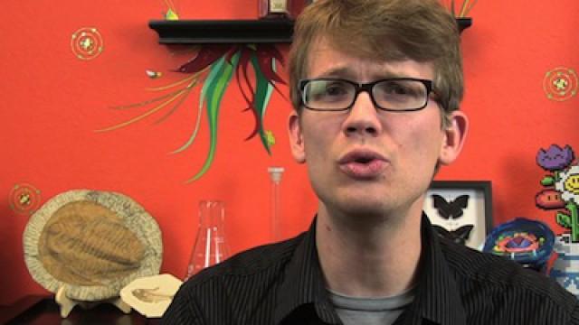Fidelity Hormones, Contagious Behavior, and the Meat-Allergy Plague