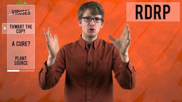 A Cure for Ebola, Rabies, & Other Virus Villains?