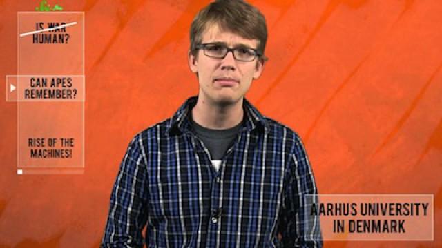 Why Do People Kill? And Other Revelations Of Human Nature