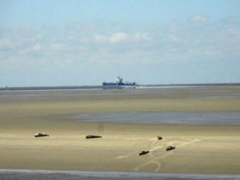 Cuxhaven - Schiffe, Strand und sonst Watt