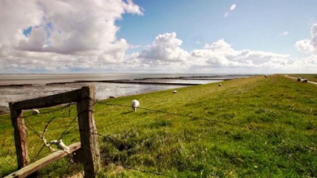 Lebenswege auf Föhr
