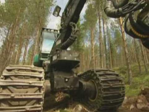Loggers