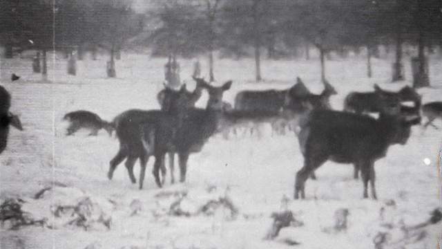 1963: The Big Freeze