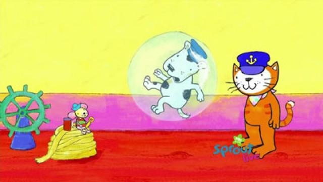 Big Bubbles
