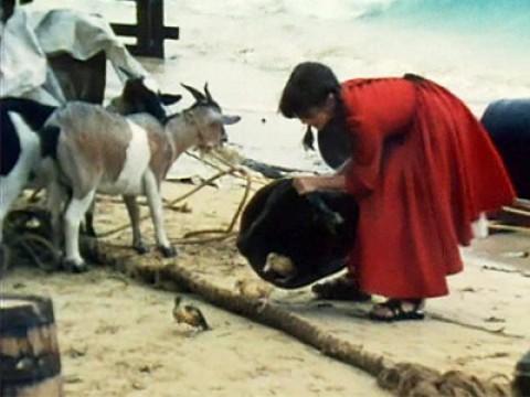 Pilot- The Swiss Family Robinson