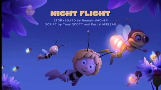 Ein Flug durch die Nacht