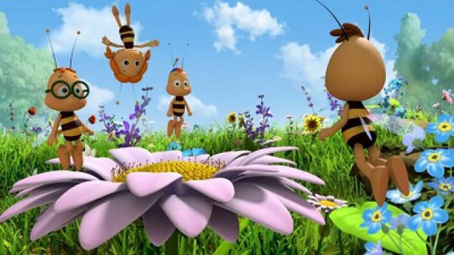 Richter Bienenwachs unter Verdacht