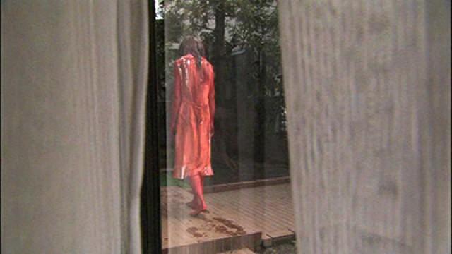 Visitor