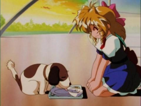 救いのヒーロー その名は駄犬チロ！