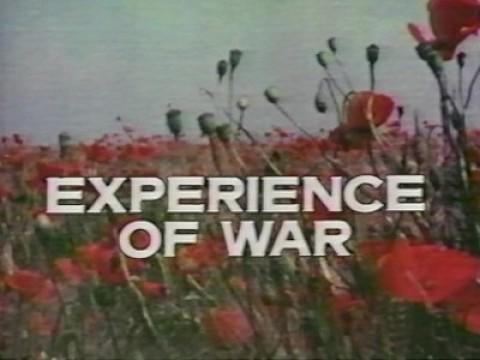 La experiencia de la guerra