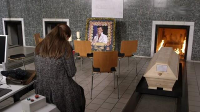 Elvis lebt