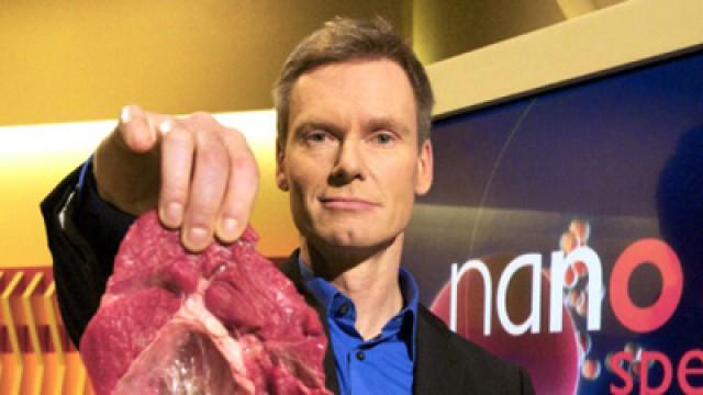 Wie viel Fleisch verträgt die Welt?