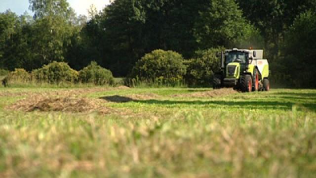 Blühende Landschaften?