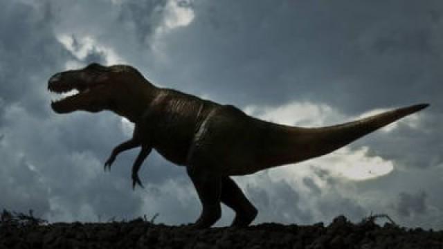 La vraie vie des dinosaures