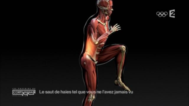 Spéciale JO : Dans la peau de nos plus grands champions