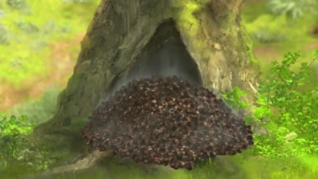 La raccolta delle nocciole