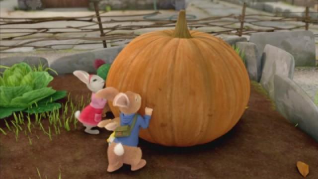 La zucca gigante