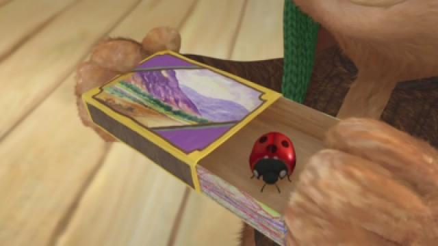 La coccinella scomparsa
