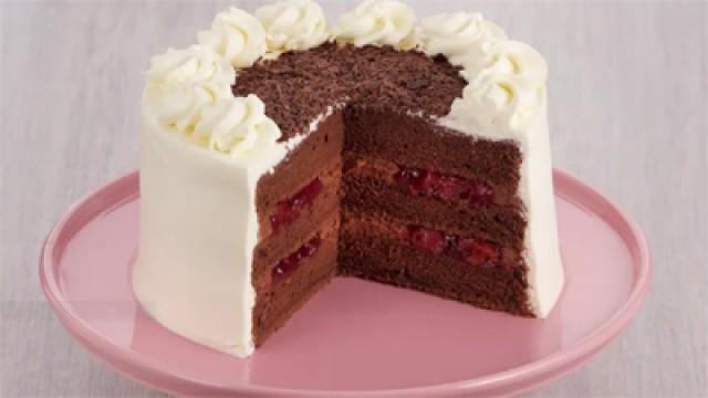 Sponge Cake